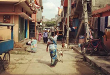 亚洲硅谷的众生相 | 印度行记系列报道(一)